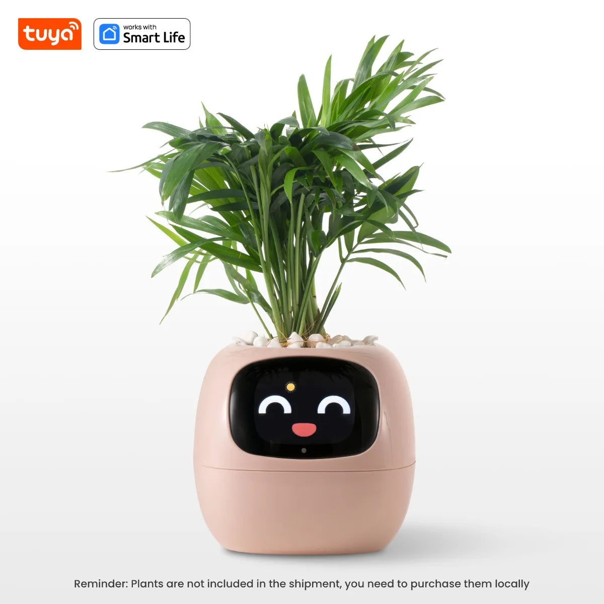 Ivy Smart Plant Pot