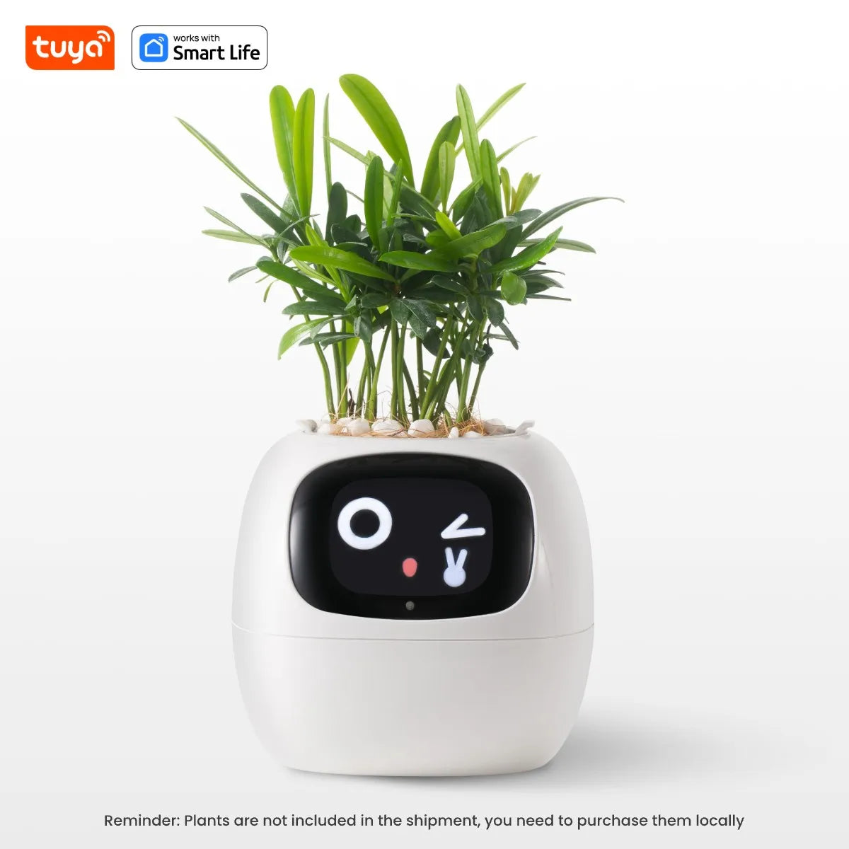 Ivy Smart Plant Pot