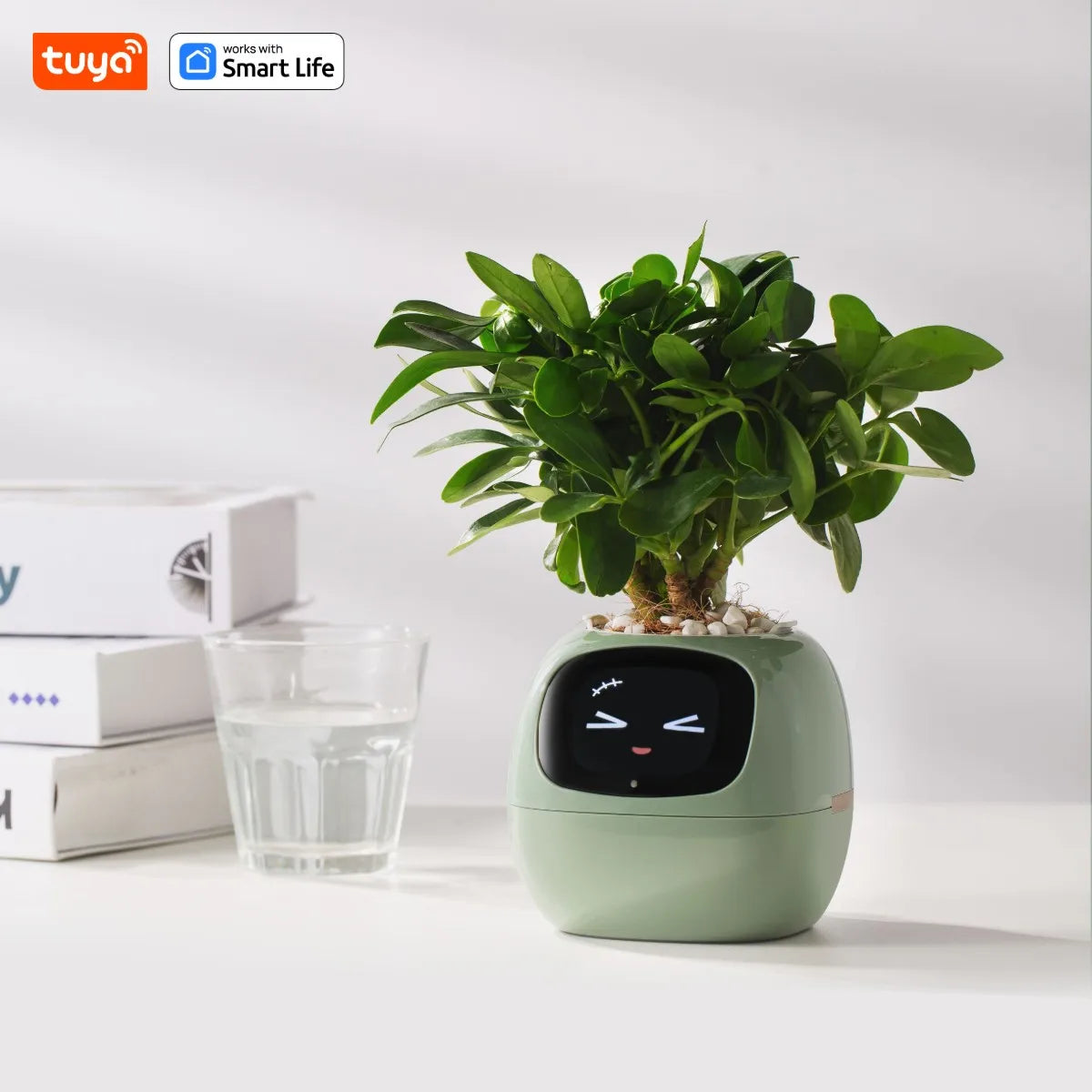 Ivy Smart Plant Pot