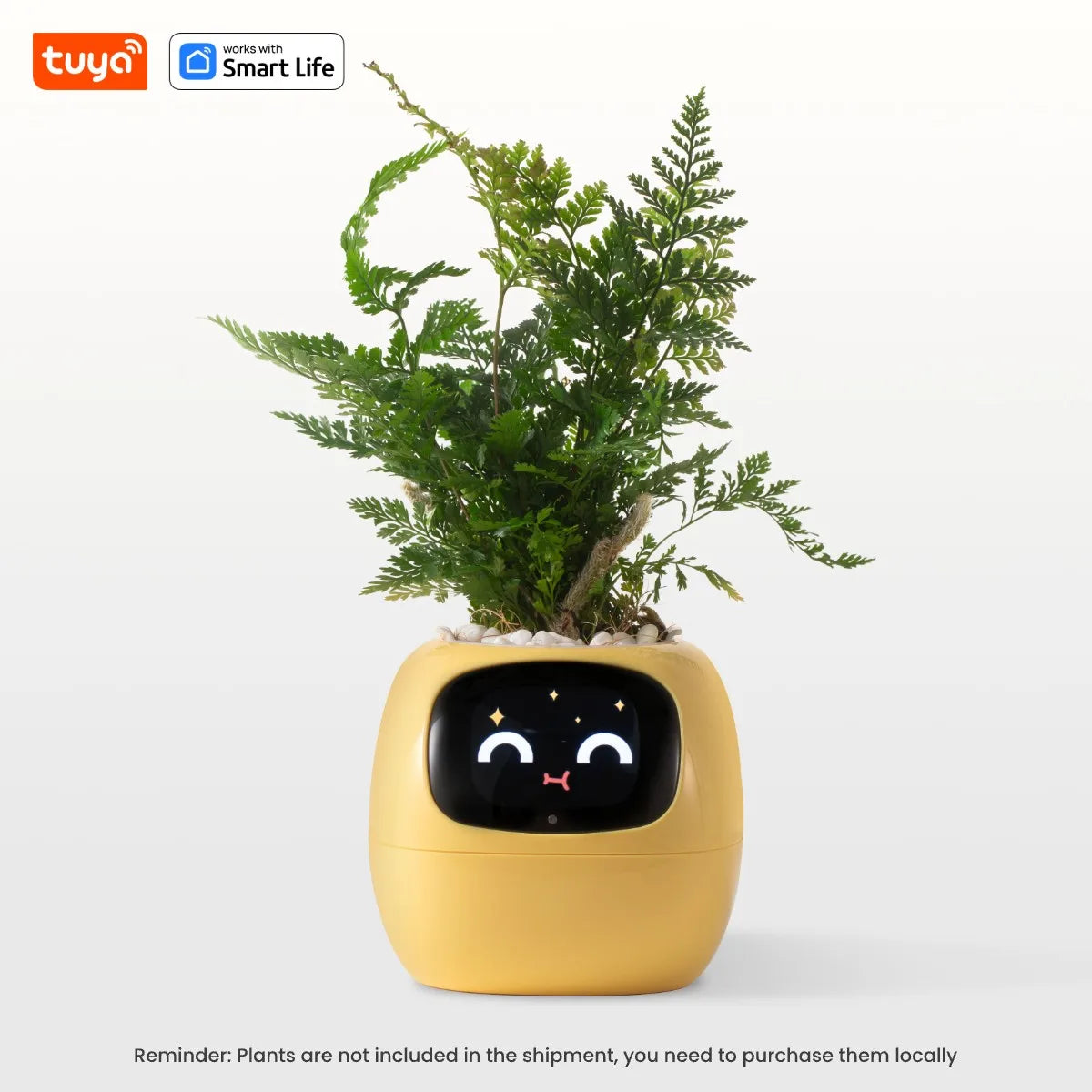 Ivy Smart Plant Pot